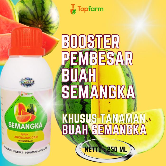 siapkirim- Pupuk Semangka Cair / Booster Semangka / Pupuk Penyubur Tanaman Semangka / Pupuk Pembesar