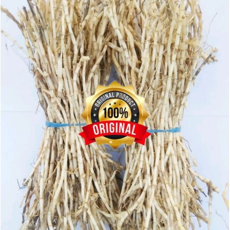 

FRESH PAKET BERSIH AKAR ALANG ALANG OBAT HERBAL PER 250 GRAM