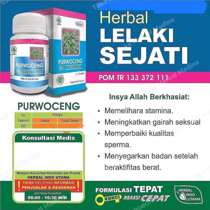 Kapsul Purwoceng Original Obat Kuat Pria Perkasa Stamina Lelaki
