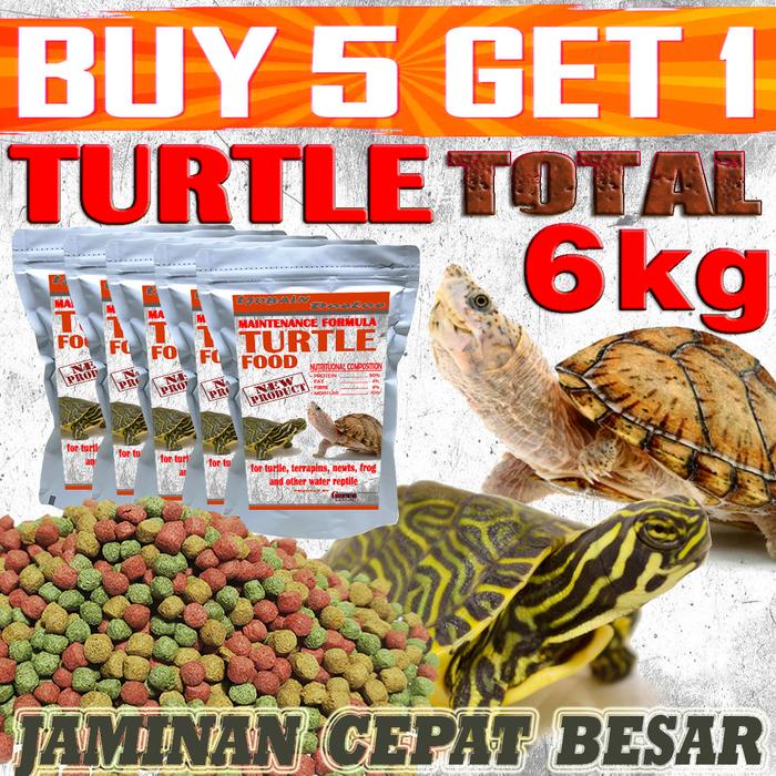 Dunia - MAKANAN KURA-KURA AIR BRAZIL RES CST DAMER DADA MERAH KURA AMBON RAZOR PIPUT MONBI AST