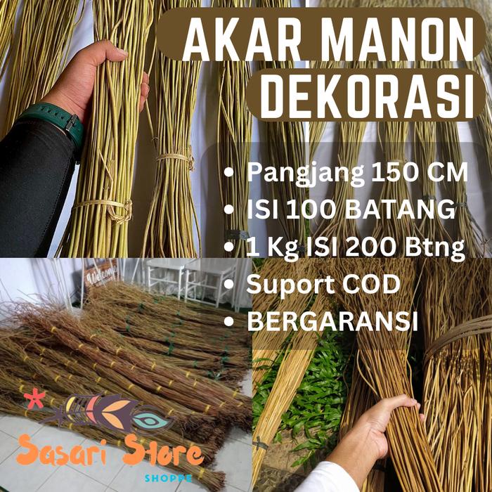 (Expert) Akar Manon dekor media menancapkan bunga hias juga tidak mudah goyang