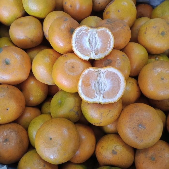 

BisaInstan- JERUK MEDAN