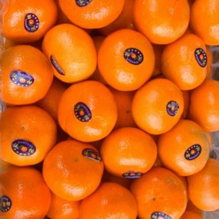 

BisaInstan- jeruk murcot/kinnow mandarin