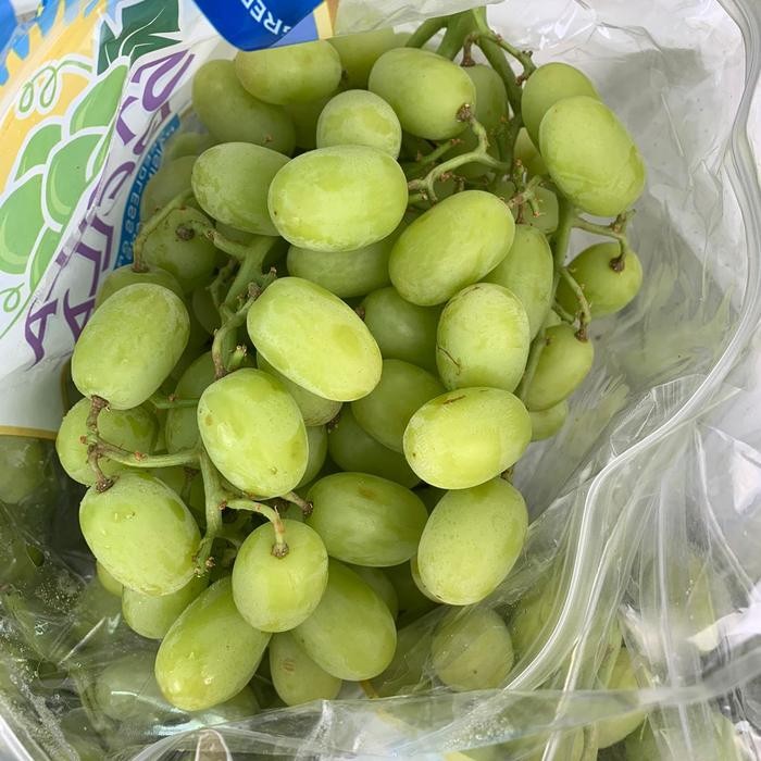 

BisaInstan- BUAH ANGGUR STELA BELA FRESH MANIS PER PACK 500 GRAM