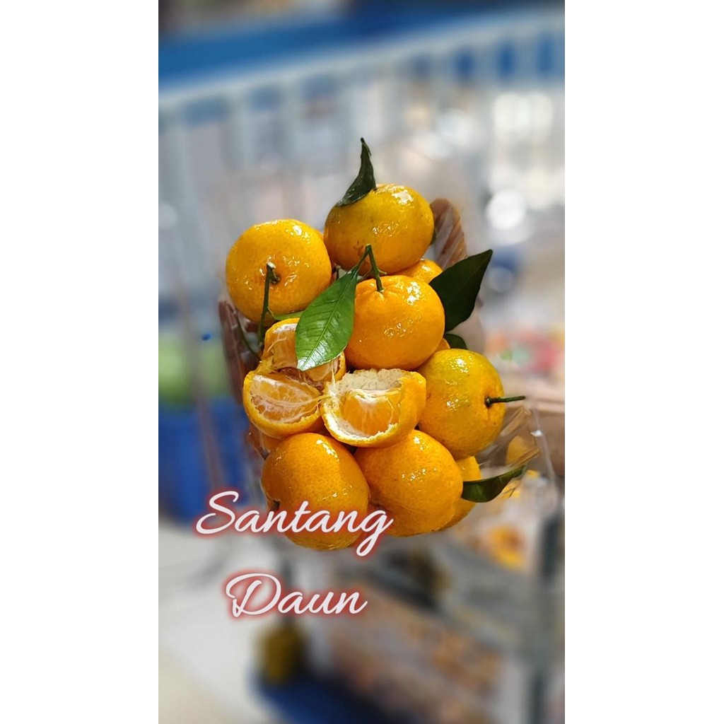 

BisaInstan- buah jeruk santang daun birma rrt jeruk kecil
