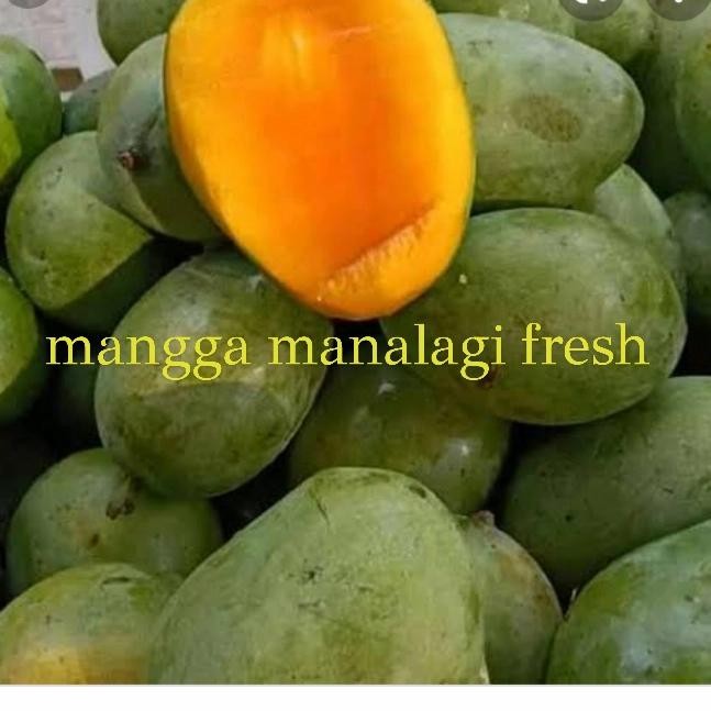 

BisaInstan- MANGGA MANALAGI FRESH MANIS PER 1KG