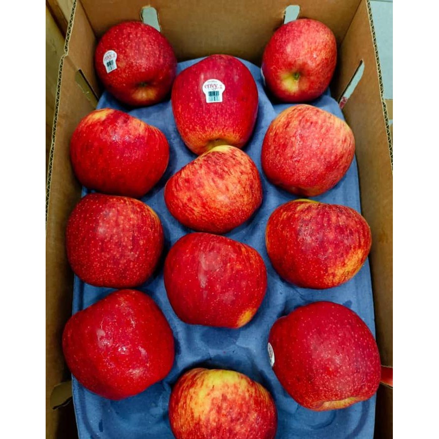 

BisaInstan- Apel envy apel envy premium