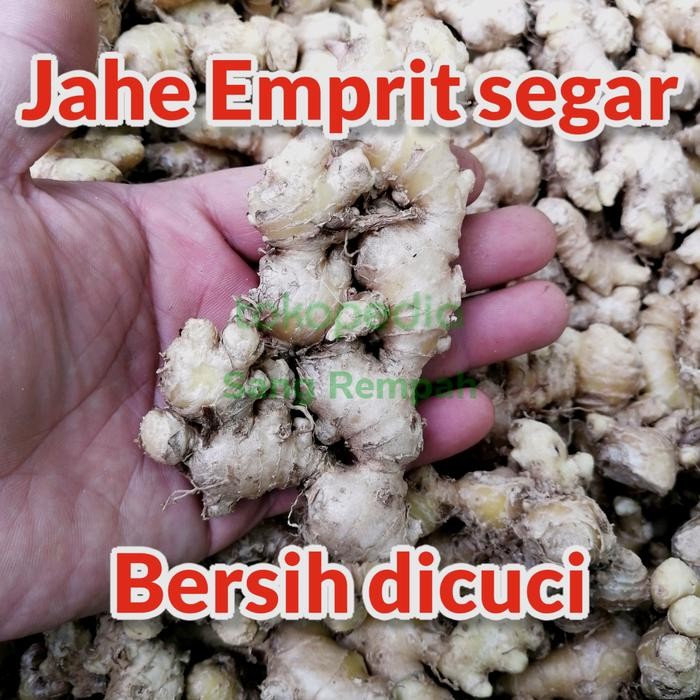 

BisaInstan- Jahe emprit Jawa 1 kg