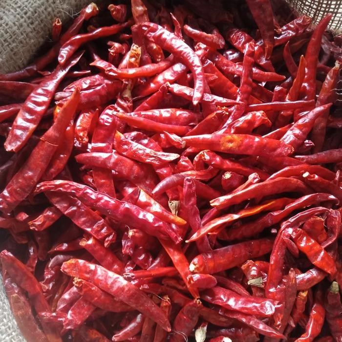 

BisaInstan- cabe teja kering 1kg / cabe rawit merah kering import