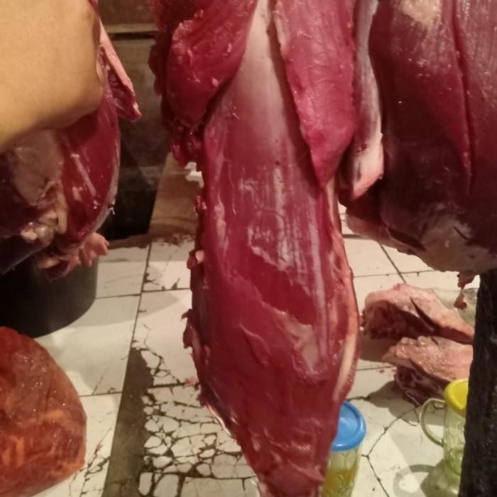 

Kirim,HariYgSama- HAS Dalam Sapi / Tenderloin Lokal Segar