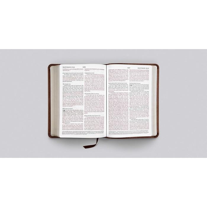 ready stok esv large print compact bible, softcover, trutone original