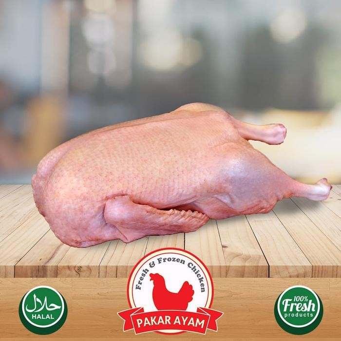 

NewZbgt- Bebek Peking Ukuran 1.0 Kualitas Mantap. Import Malaysia.