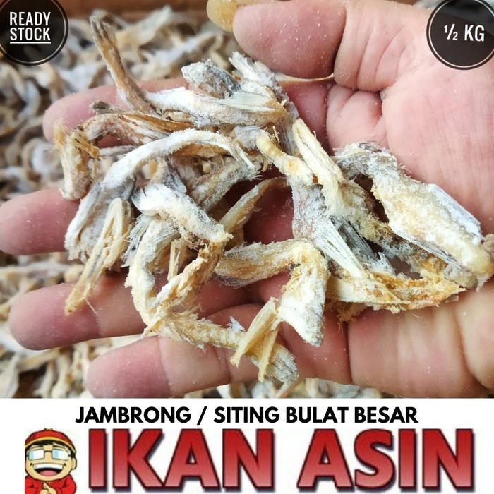 

NewZbgt- Ikan Asin JAMBRONG / SITING / SITENG KASAR / 500 gr