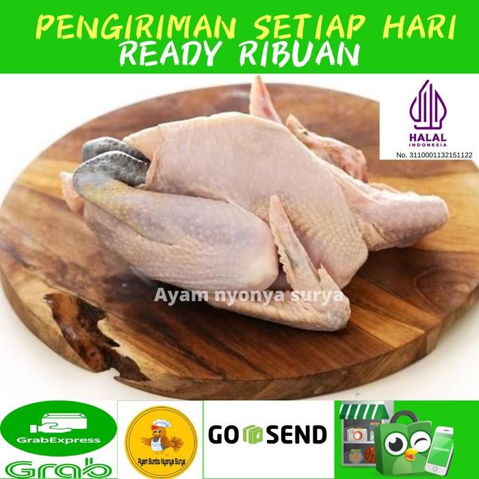 

1 Ekor Ayam Kampung Fresh