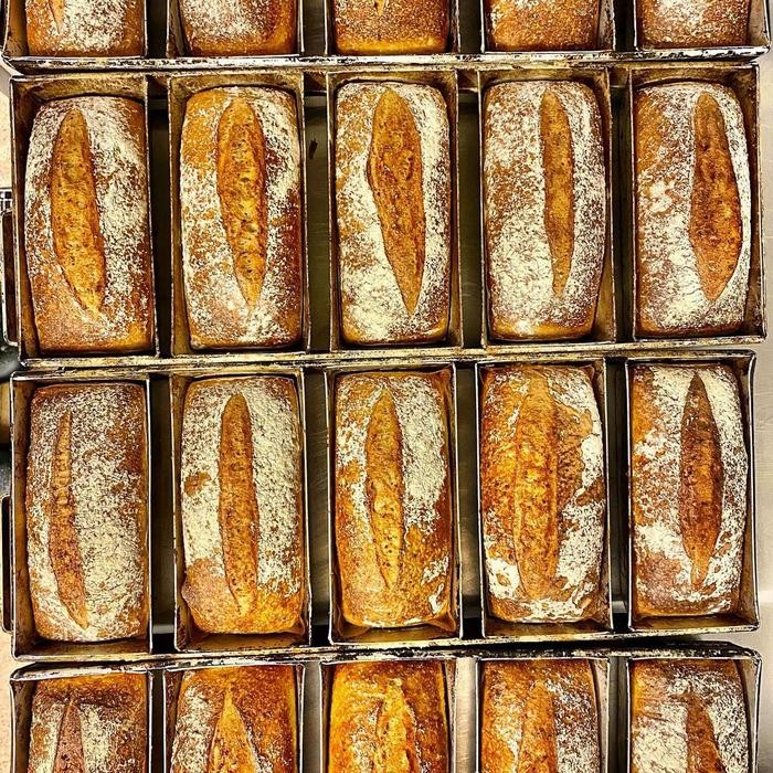 

EatFr3sh- GIANTS SOURDOUGH LOAF 550 GR