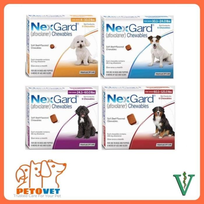 NEXGARD Obat kutu untuk anjing