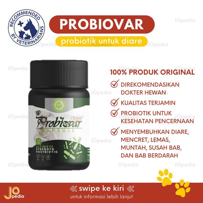 PROBIOVAR Probiotik Obat Diare Mencret Muntah Kucing Anjing Kelinci