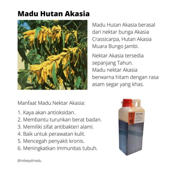 

Rebepal Madu Murni Asli Indonesia Nektar Akasia Honey - 1Kg