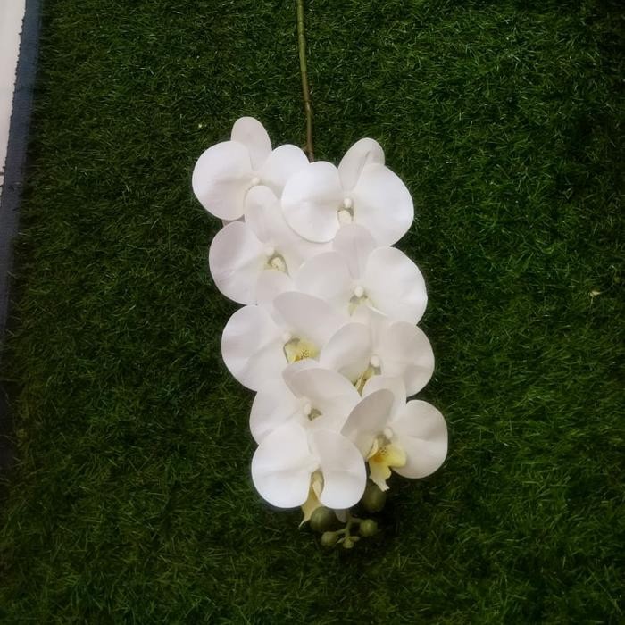 Anggrek Latex Putih / Anggrek Bulan Putih / Bunga Anggrek Artificial