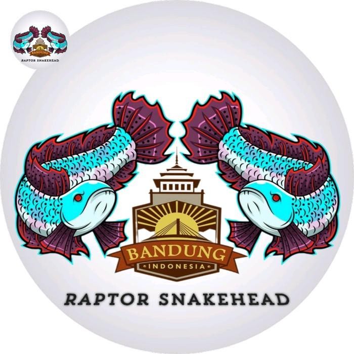 Mainan Aksesoris Snakehead Predator Fish Chana