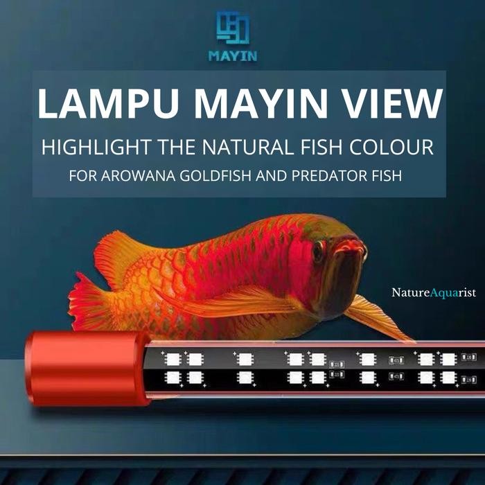 Lampu Mayin View Led Aquarium Ikan Arowana Arwana Goldfish Predator Koi Channa