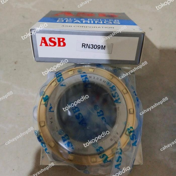 Rn 309 M / Rn309 M / Rn309M Bearing Merk Asb