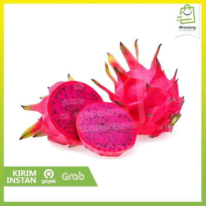 

New BUAH NAGA MERAH / MURAH BERKUALITAS