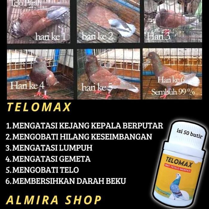 OBAT TELO MERPATI TELOMAX terbaru