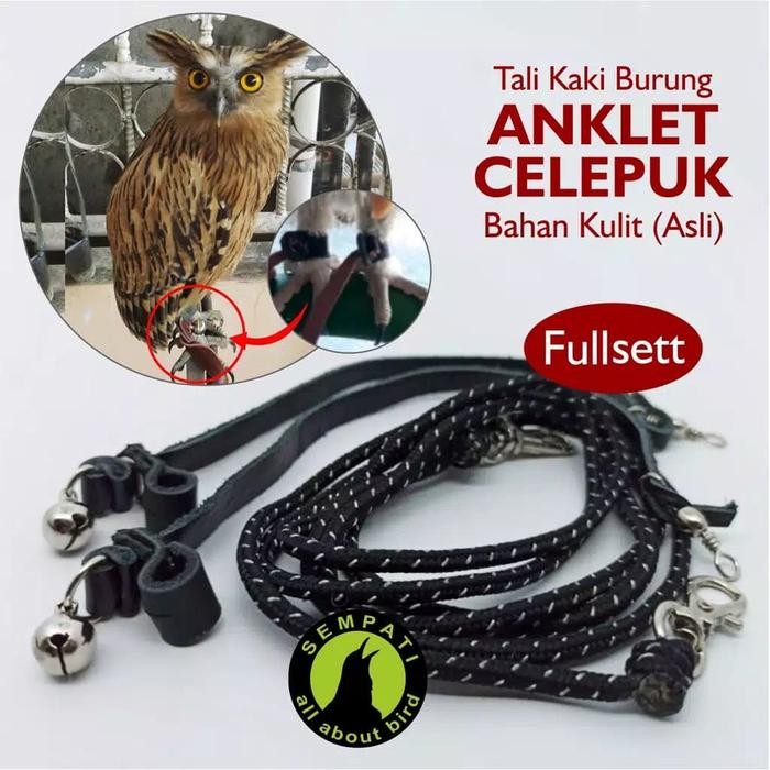 ANKLET CELEPUK ANGKLET CELEPUK TALI BURUNG HANTU ELANG OWL ALAP ALAP terbaru