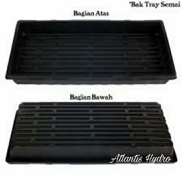 Kenanganpawon Alas Tray Semai / Nampan Tray Semai / Base Tray