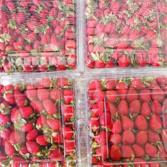 

InstanTanyadulu- Strawberry Segar 1 Kg