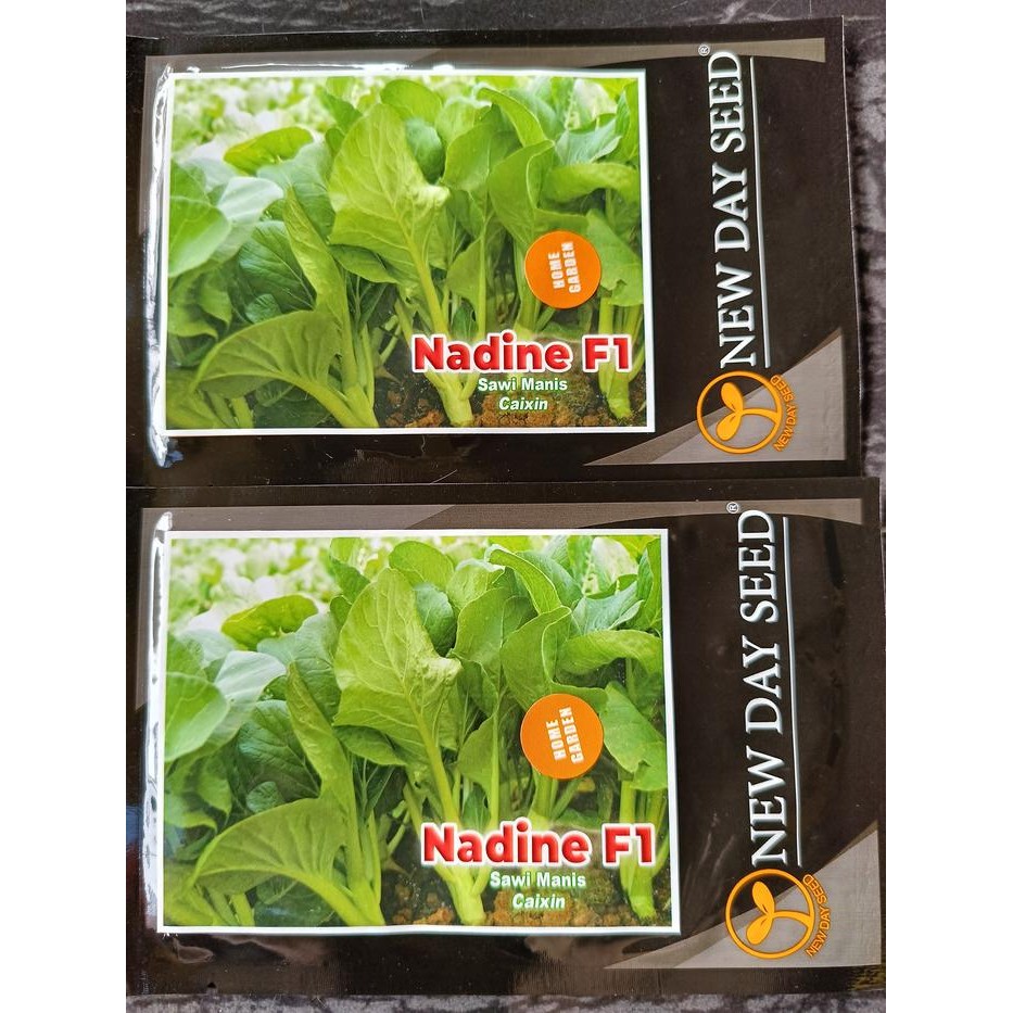 Thinkerbelllll Benih Bibit Caisim Sawi Manis Nadine F1