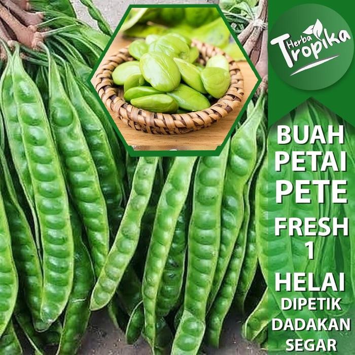 

Petai Pete Segar Super per helai / Papan hea tropika *