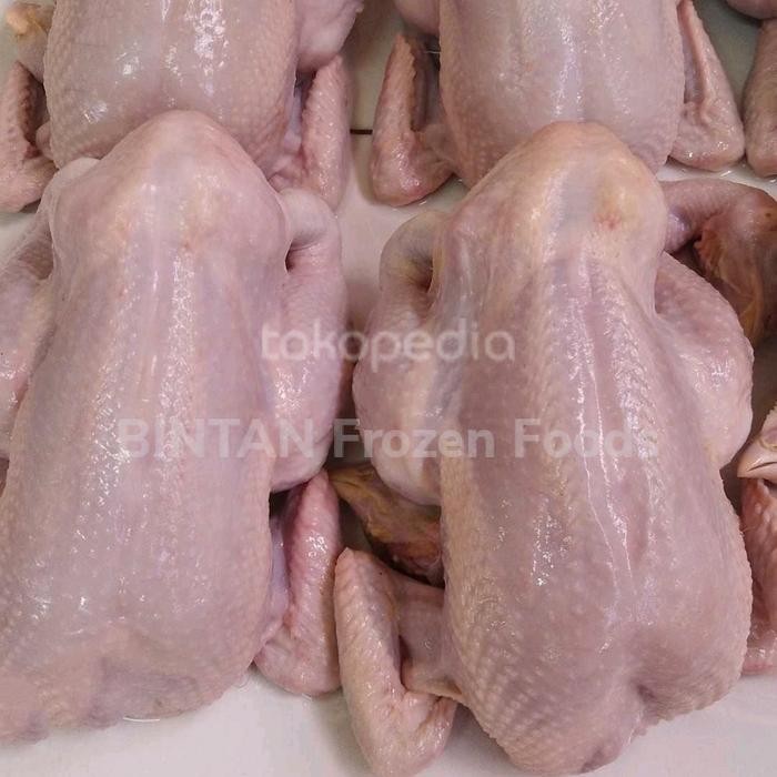

BeliSkrg,KirimHariini- Ayam Broiler Negeri Potong Segar Fresh 1 Ekor 800 - 900 Gram