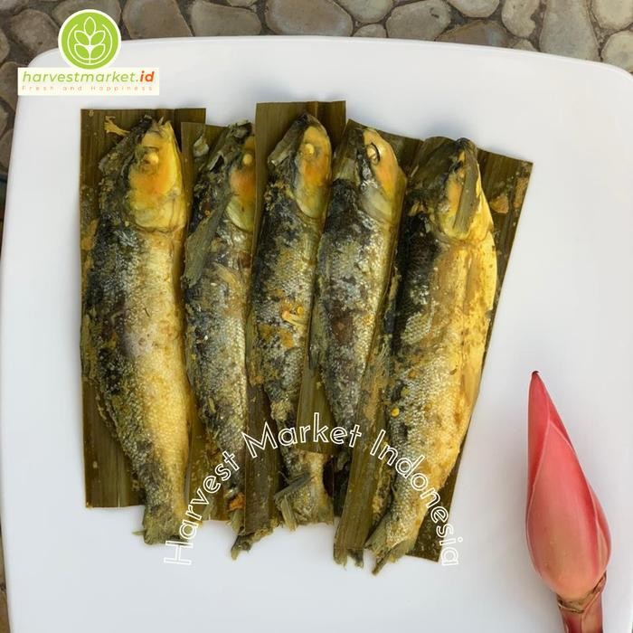 

PastikanDikirimLgsg- Bandeng Presto / Tulang Lunak isi 5 ekor