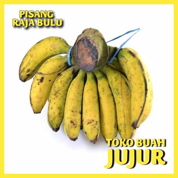 

PastikanDikirimLgsg- PISANG RAJA BULU SUPER