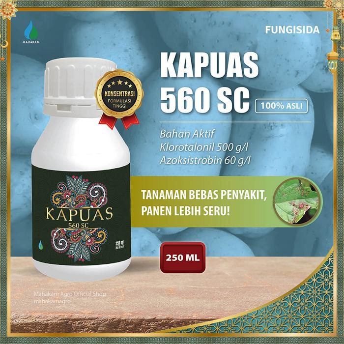 Kapuas 560 SC Fungisida Pengendali Hama Penyakit Tanaman Kentang - 250 ml