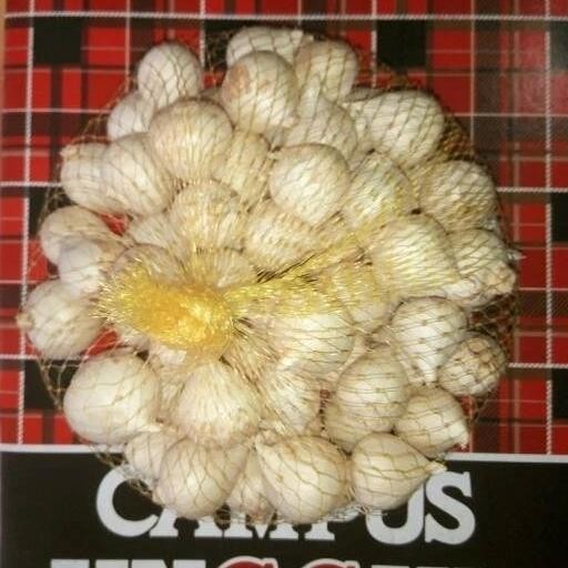 

BAWANG PUTIH TUNGGAL / BAWANG LANANG 500GRAM /BAWANG KESEHATAN HERBAL