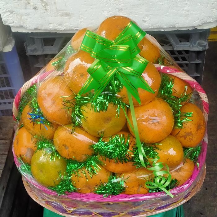 

Termurah buah khusus jeruk medan Terbaik