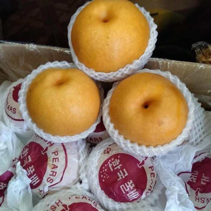 

Murah Pear Pir Coklat Korea Diskon