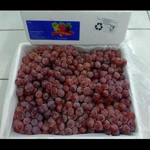 

Terlaris BUAH ANGGUR MERAH AUSTRALIA / ASLI MANIS / BUAH SEGAR & FRESH / 1 BOX Terbaru