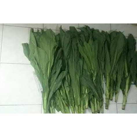 

BnyKBonusBelidiMari- SAYUR FUMAK pakan Tortoise Iguana 10kg