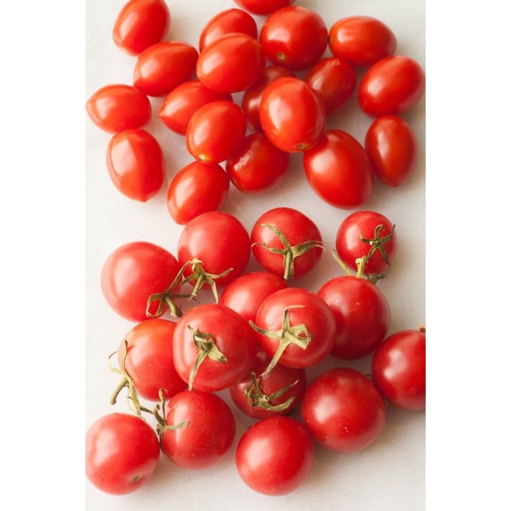 

BnyKBonusBelidiMari- Buah Segar Tomat CERI MERAH Chery Cherry Tomato 500 gr - 1 kg