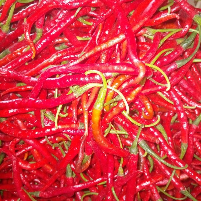 

BnyKBonusBelidiMari- CABE MERAH KERITING 1KG