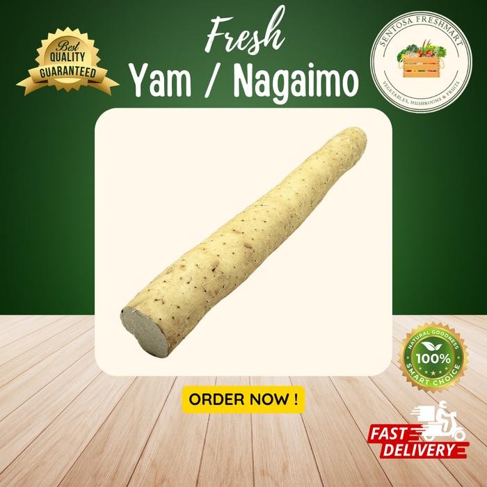 

BnyKBonusBelidiMari- [SENTOSA FRESHMART] YAM / NAGAIMO / UBI CHINA per KG