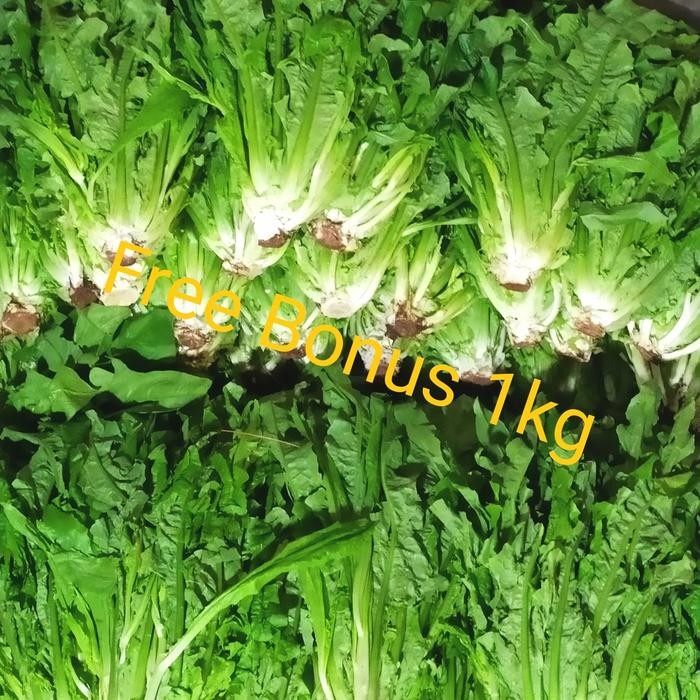 

BnyKBonusBelidiMari- Siomak Sayur Kura kura 1 kg