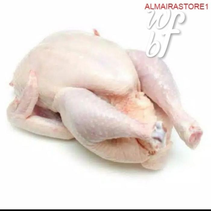 

BnyKBonusBelidiMari- Ayam potong daging ayam fresh boiler 1 ekor 0,8-1kg - Wfbogor