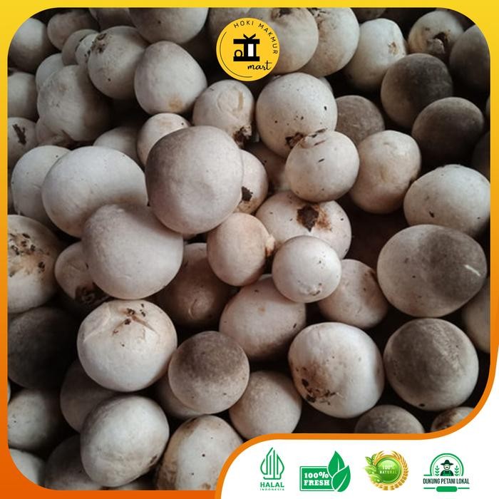 

BnyKBonusBelidiMari- JAMUR MERANG PREMIUM 1 KG MERANG MUSHROOM PREMIUM 1 KG