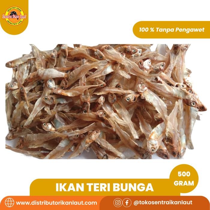 

PastiFreShNya- Ikan Teri Bunga Teri Kembang Tawar Kualitas Super 500 Gram
