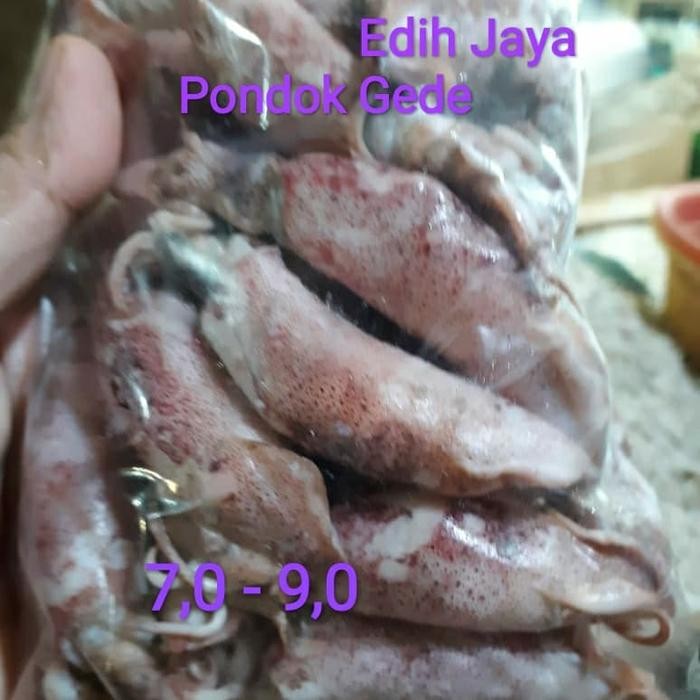 

PastiFreShNya- Cumi Asin/Sontong BK Ukuran Besar Semua. Netto 250 Gram